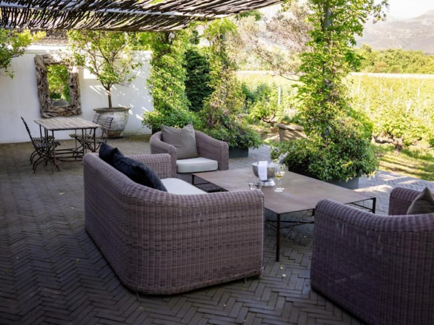 Grande Provence Franschhoek Western Cape South Africa Garden, Nature, Plant, Living Room
