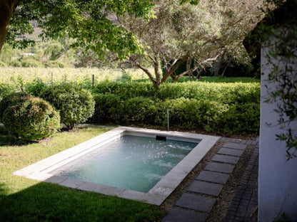 Grande Provence Franschhoek Western Cape South Africa Garden, Nature, Plant, Swimming Pool