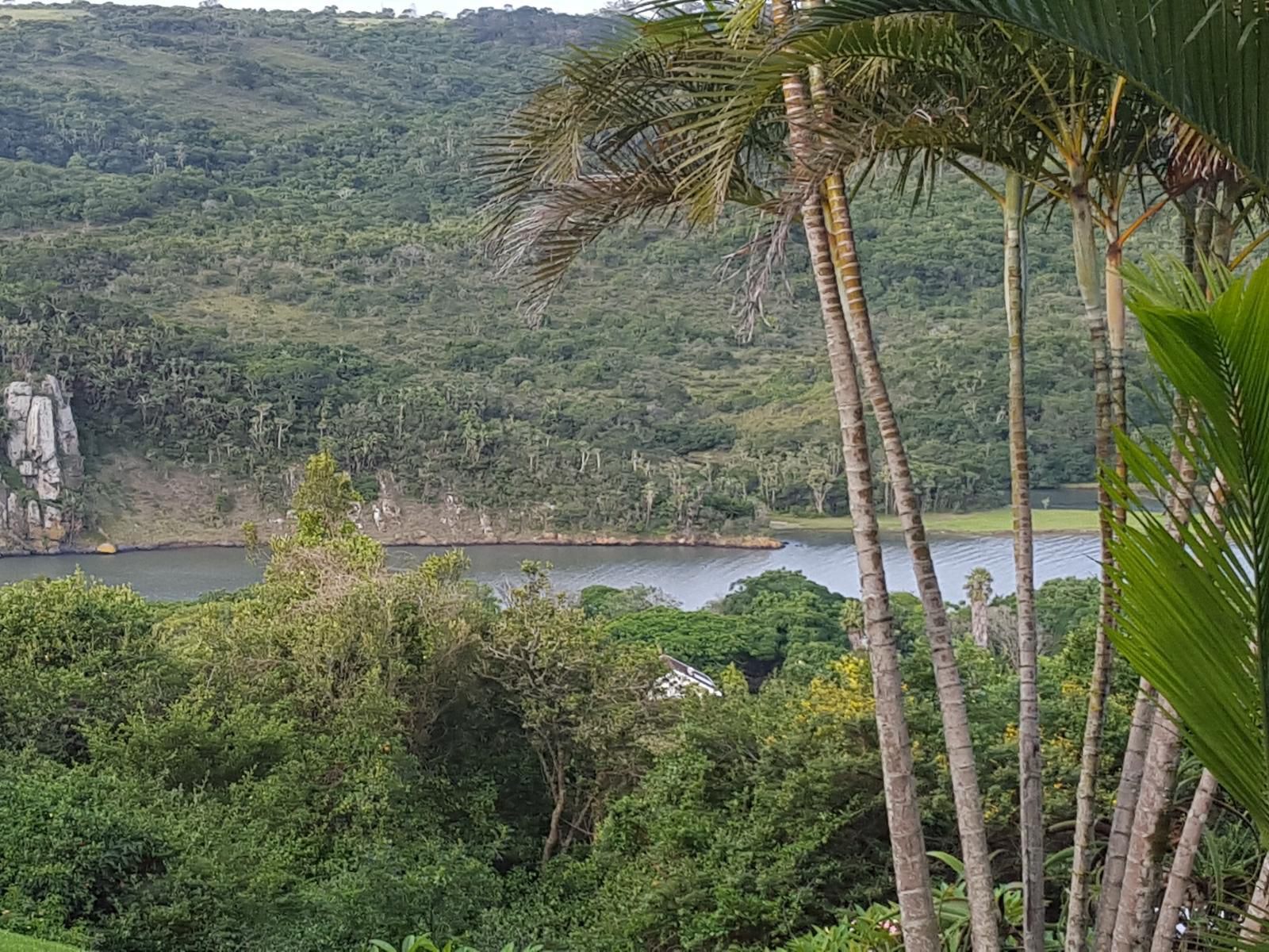 Grande Vista Guest House Gonubie East London Eastern Cape South Africa Boat, Vehicle, Bridge, Architecture, Forest, Nature, Plant, Tree, Wood, Island, Lake, Waters, Palm Tree, River, Highland