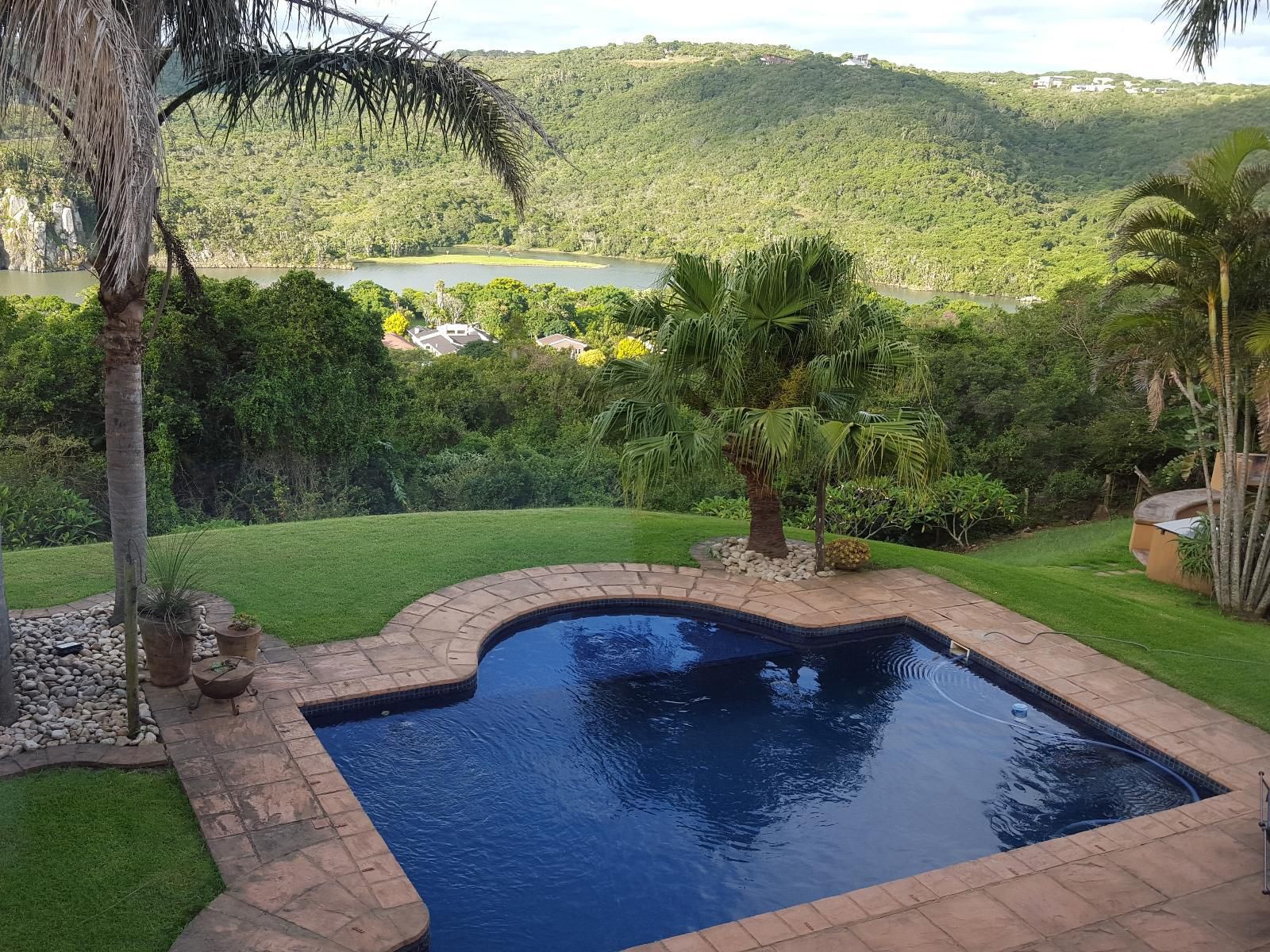 Grande Vista Guest House Gonubie East London Eastern Cape South Africa Palm Tree, Plant, Nature, Wood, Garden, Swimming Pool