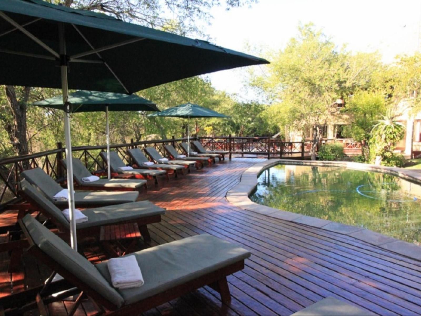 Grand Kruger Lodge Marloth Park Mpumalanga South Africa Bar, Swimming Pool