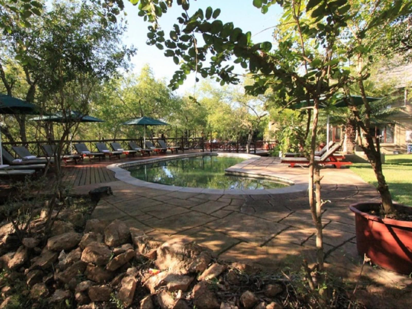 Grand Kruger Lodge Marloth Park Mpumalanga South Africa Garden, Nature, Plant, Swimming Pool