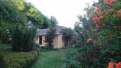 Granny Mouse House Hogsback Eastern Cape South Africa House, Building, Architecture, Garden, Nature, Plant