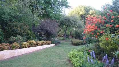 Granny Mouse House Hogsback Eastern Cape South Africa Plant, Nature, Garden