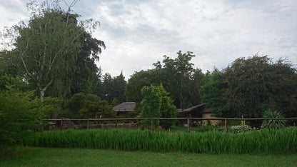 Granny Mouse House Hogsback Eastern Cape South Africa Tree, Plant, Nature, Wood