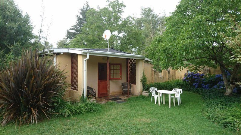 Granny Mouse House Hogsback Eastern Cape South Africa House, Building, Architecture, Palm Tree, Plant, Nature, Wood