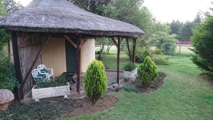 Granny Mouse House Hogsback Eastern Cape South Africa Garden, Nature, Plant