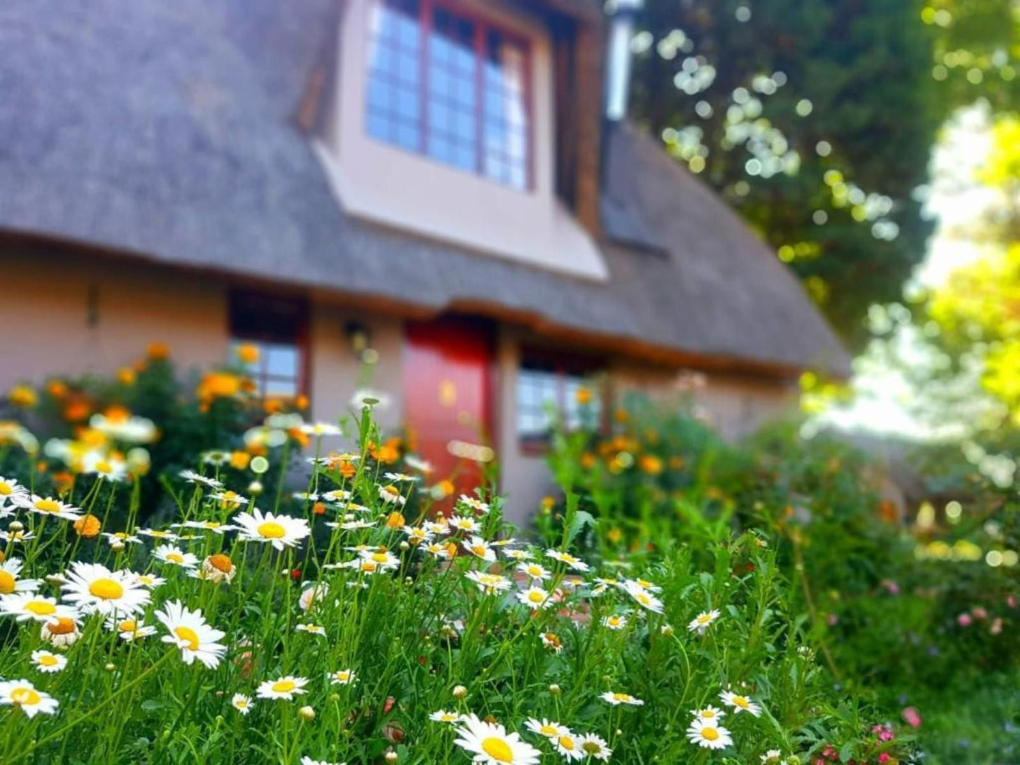 Granny Mouse Country House Balgowan Kwazulu Natal South Africa Building, Architecture, Half Timbered House, House, Plant, Nature