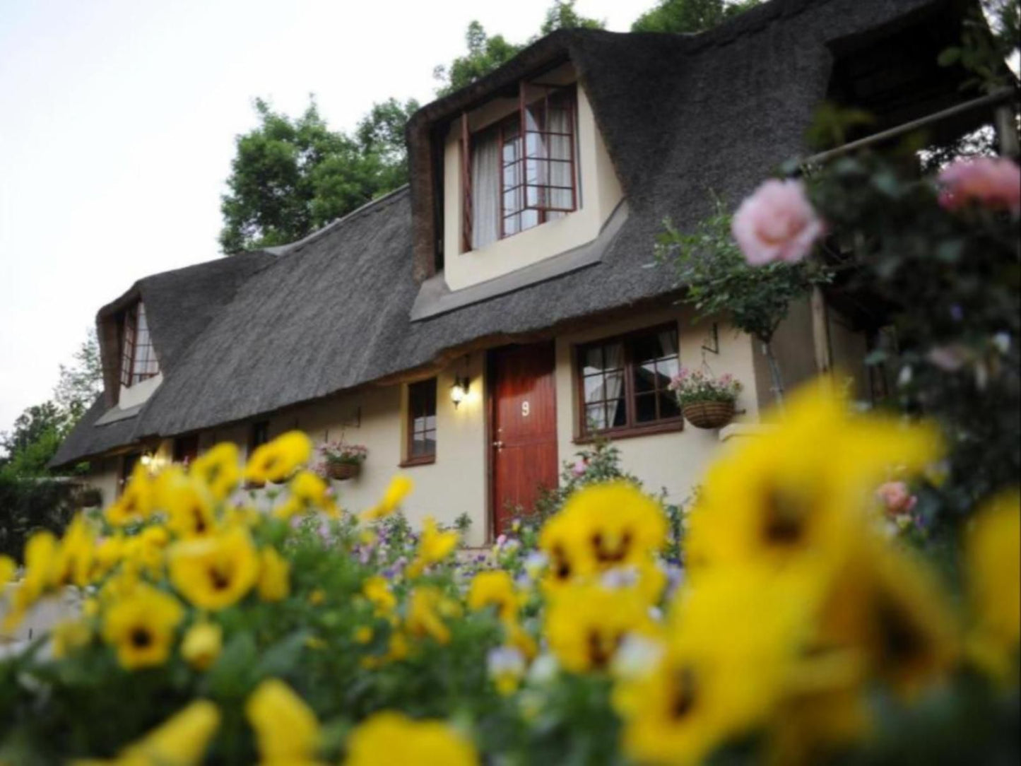 Granny Mouse Country House Balgowan Kwazulu Natal South Africa Building, Architecture, Half Timbered House, House, Plant, Nature