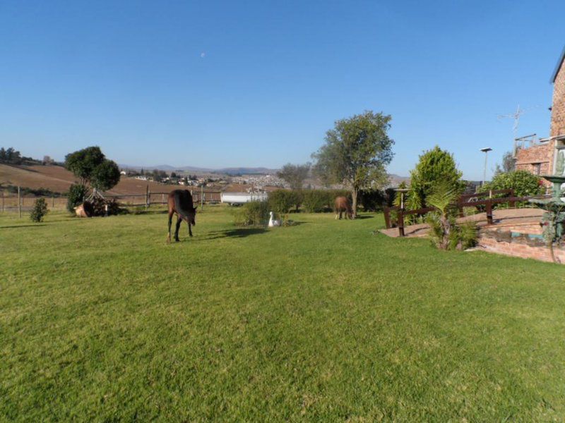 Grantleigh Farm Mooi River Kwazulu Natal South Africa Complementary Colors, Horse, Mammal, Animal, Herbivore