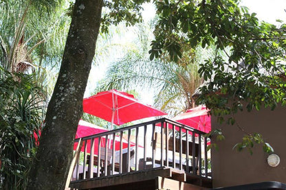 Grasdak Guesthouse Makhado Louis Trichardt Limpopo Province South Africa Palm Tree, Plant, Nature, Wood, Umbrella