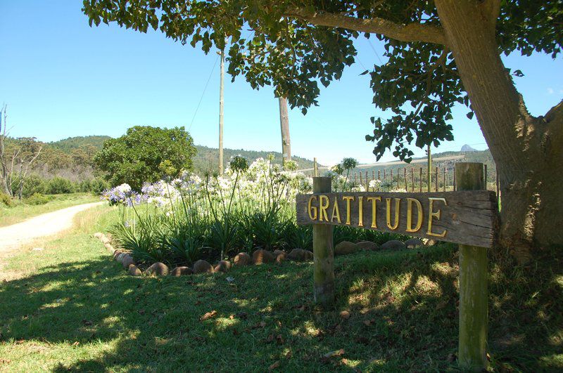 Gratitude Horse Farm Riversdale Western Cape South Africa Complementary Colors, Plant, Nature, Sign, Text, Cemetery, Religion, Grave