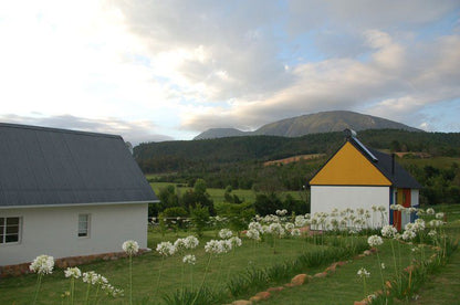 Gratitude Horse Farm Riversdale Western Cape South Africa Mountain, Nature, Highland