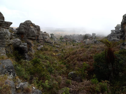 Grauhaus, Ruin, Architecture, Highland, Nature