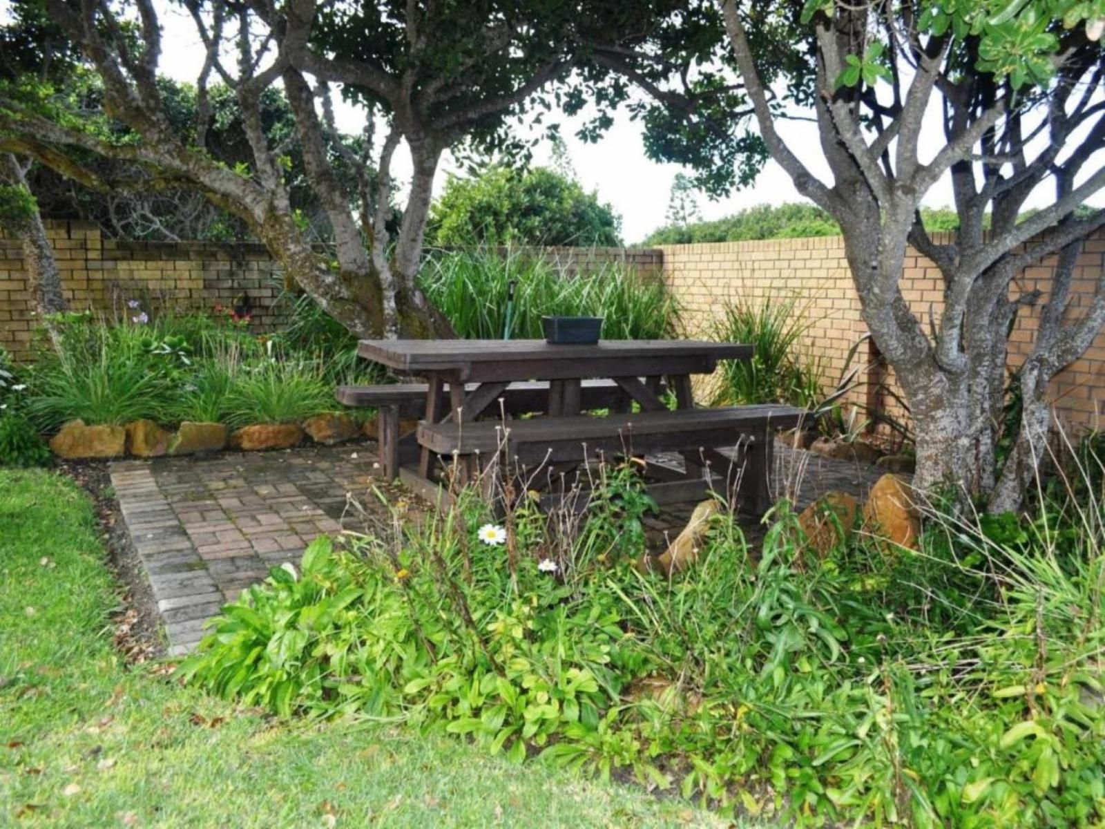 Great White Accommodation Kleinbaai Western Cape South Africa Garden, Nature, Plant