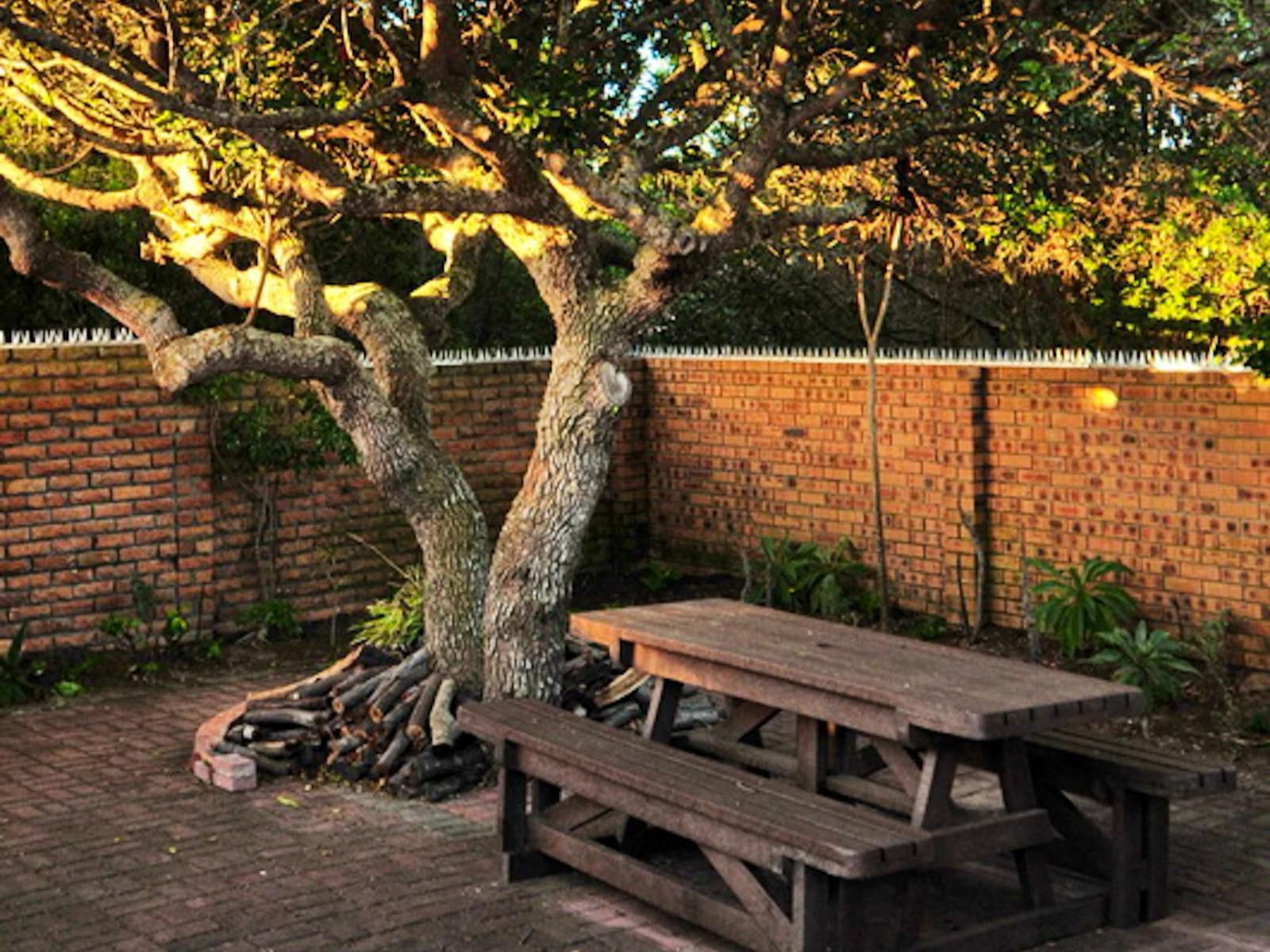 Great White Accommodation Kleinbaai Western Cape South Africa Plant, Nature, Tree, Wood, Garden