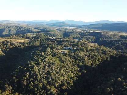 Green Hills Forest Lodge The Crags Western Cape South Africa Tree, Plant, Nature, Wood, Aerial Photography