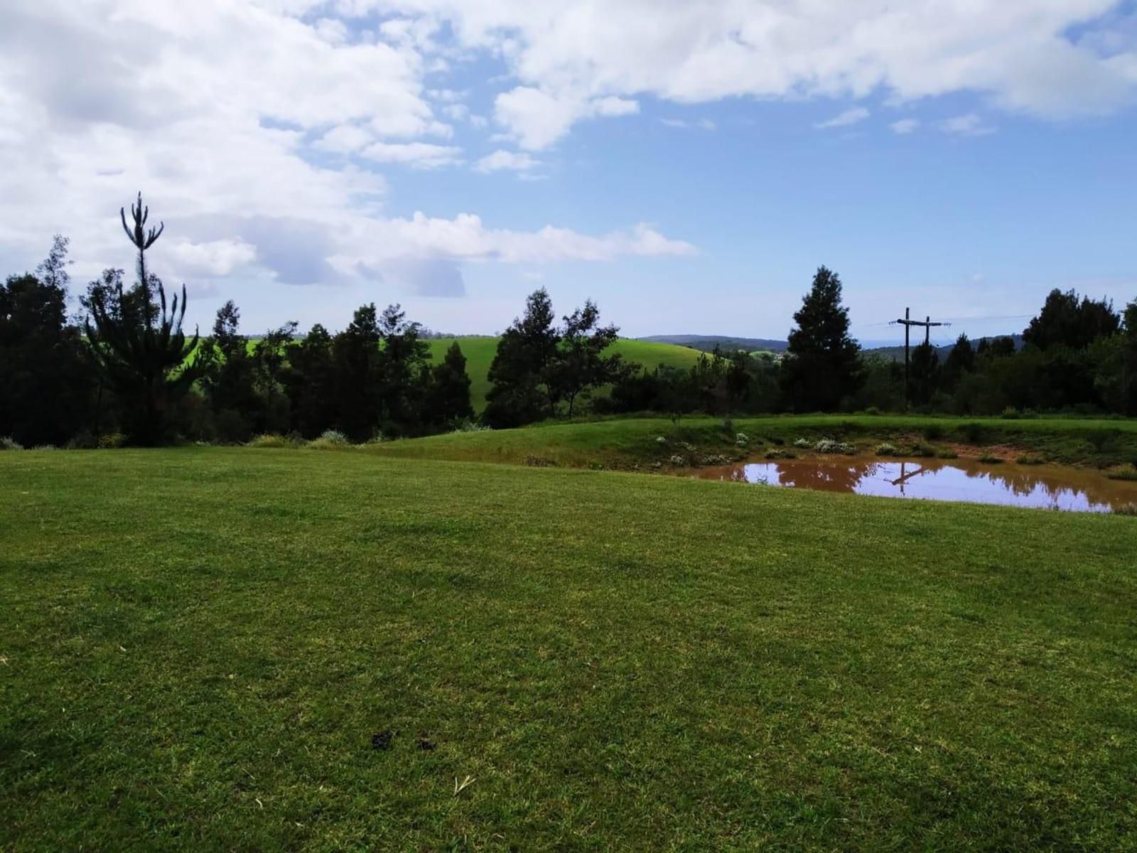 Green Hills Forest Lodge The Crags Western Cape South Africa Complementary Colors, Nature