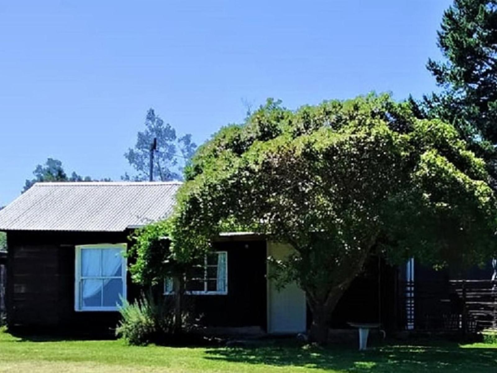 Green Hills Forest Lodge The Crags Western Cape South Africa House, Building, Architecture