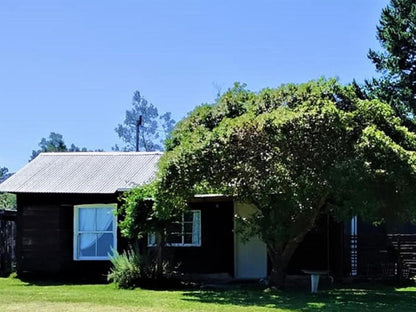 Green Hills Forest Lodge The Crags Western Cape South Africa House, Building, Architecture