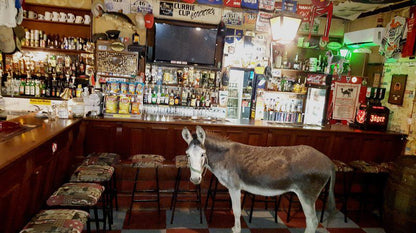 Green Lantern Inn Van Reenen Kwazulu Natal South Africa Beer, Drink, Bottle, Drinking Accessoire, Animal, Bar