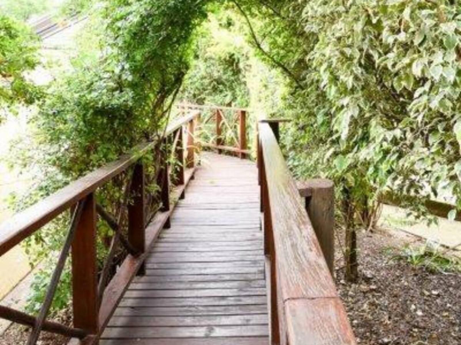 Green Park Lodge, Bridge, Architecture, Forest, Nature, Plant, Tree, Wood, Leading Lines