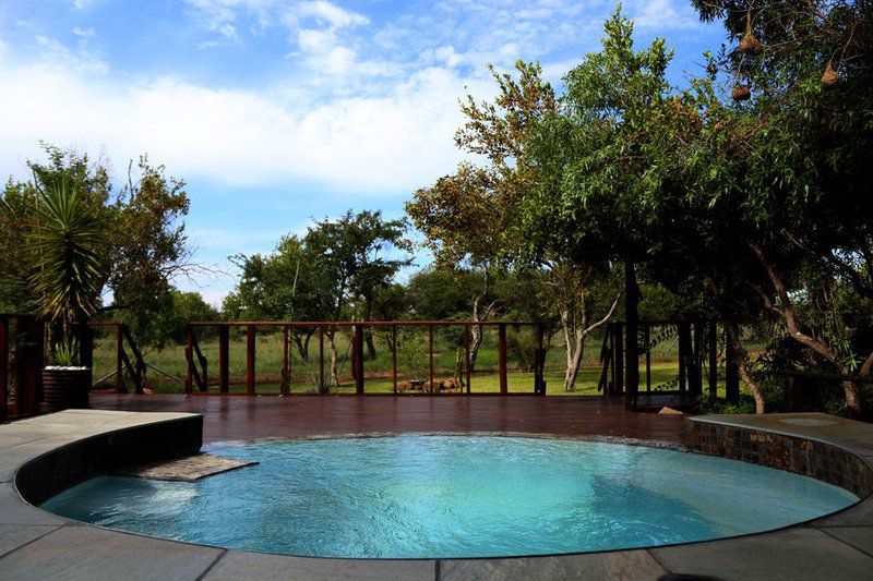 Greenfinch Lodge Dinokeng Gauteng South Africa Garden, Nature, Plant, Swimming Pool