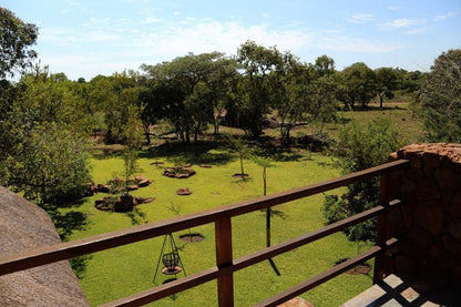 Greenfinch Lodge Dinokeng Gauteng South Africa Plant, Nature, Tree, Wood