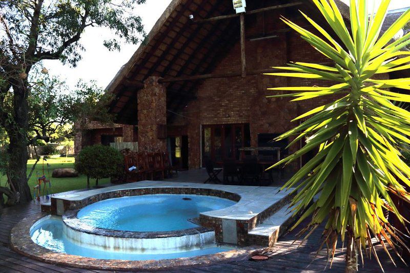 Greenfinch Lodge Dinokeng Gauteng South Africa Palm Tree, Plant, Nature, Wood, Swimming Pool