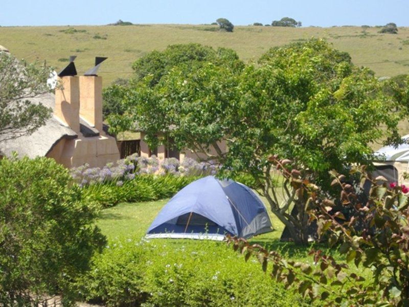 Green Fountain Caravan Park Port Alfred Eastern Cape South Africa Tent, Architecture