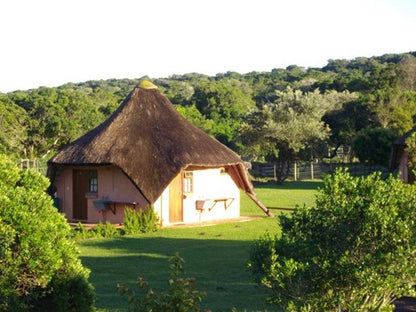 Green Fountain Caravan Park Port Alfred Eastern Cape South Africa 