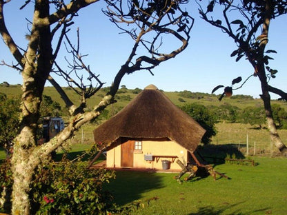 Green Fountain Caravan Park Port Alfred Eastern Cape South Africa Complementary Colors, Colorful