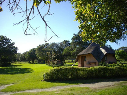 Green Fountain Caravan Park Port Alfred Eastern Cape South Africa Complementary Colors