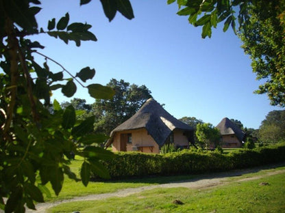 Green Fountain Caravan Park Port Alfred Eastern Cape South Africa Complementary Colors, Building, Architecture, House