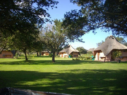 Green Fountain Caravan Park Port Alfred Eastern Cape South Africa 