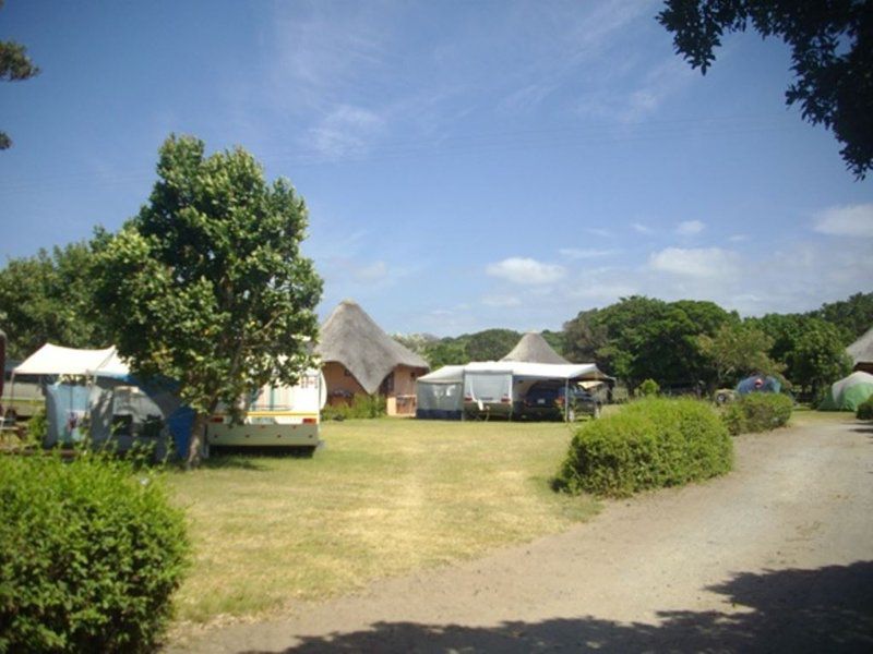 Green Fountain Caravan Park Port Alfred Eastern Cape South Africa Complementary Colors, Tent, Architecture