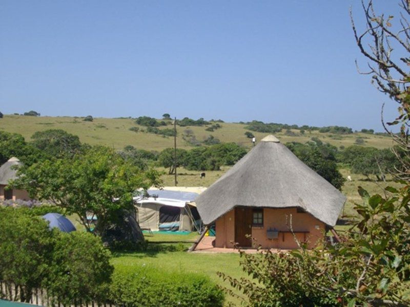 Green Fountain Caravan Park Port Alfred Eastern Cape South Africa Complementary Colors, Tent, Architecture