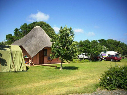 Green Fountain Caravan Park Port Alfred Eastern Cape South Africa Complementary Colors, Tent, Architecture