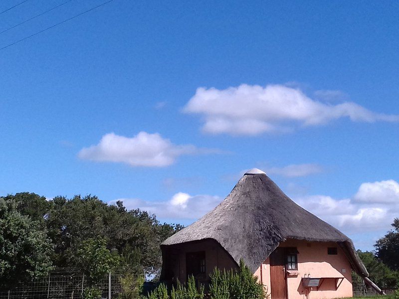 Green Fountain Farm Self Catering Villas Port Alfred Eastern Cape South Africa 