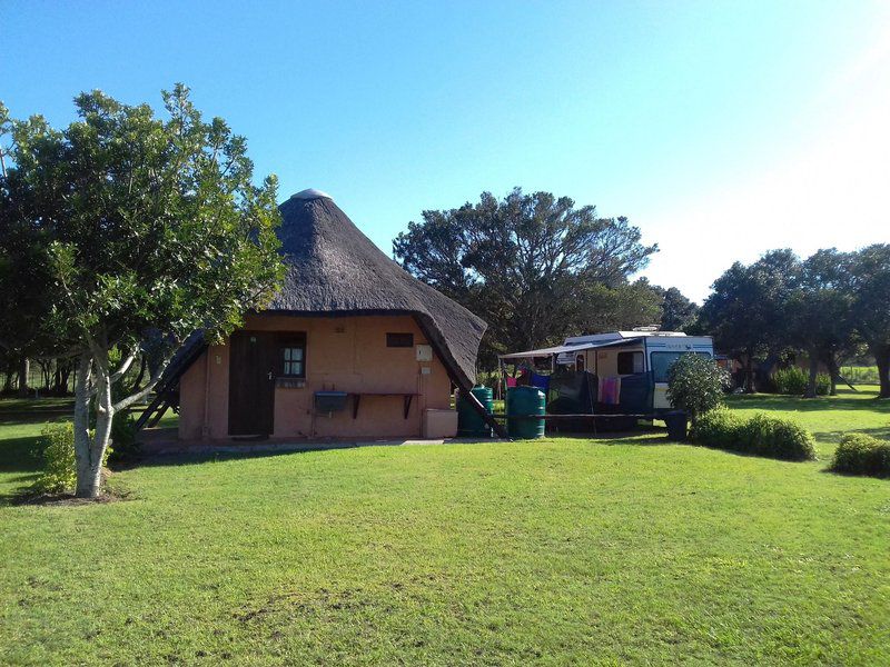 Green Fountain Farm Self Catering Villas Port Alfred Eastern Cape South Africa Complementary Colors, Palm Tree, Plant, Nature, Wood