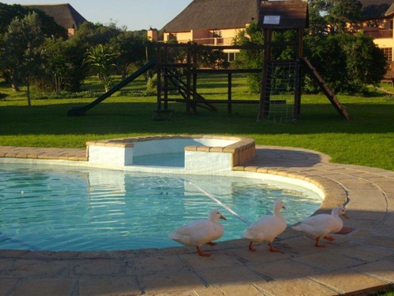 Green Fountain Farm Self Catering Villas Port Alfred Eastern Cape South Africa Bird, Animal, Swimming Pool
