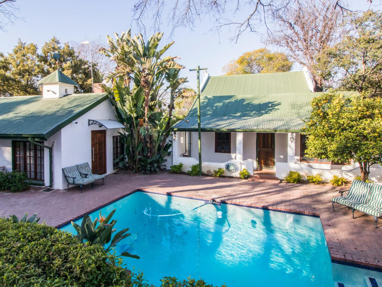 Green Gables Rivonia Johannesburg Gauteng South Africa Complementary Colors, House, Building, Architecture, Palm Tree, Plant, Nature, Wood, Garden, Swimming Pool