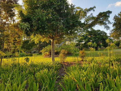 Greenhill Farm, Plant, Nature, Tree, Wood, Garden