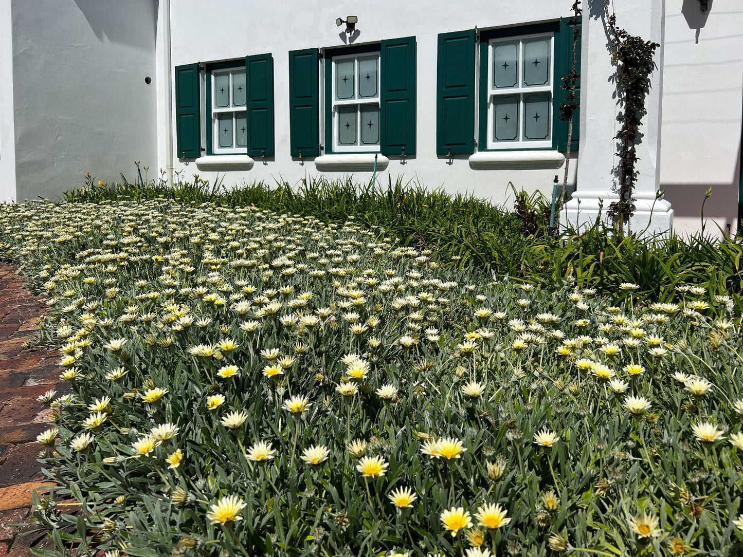 Greenhill Farm, House, Building, Architecture, Plant, Nature