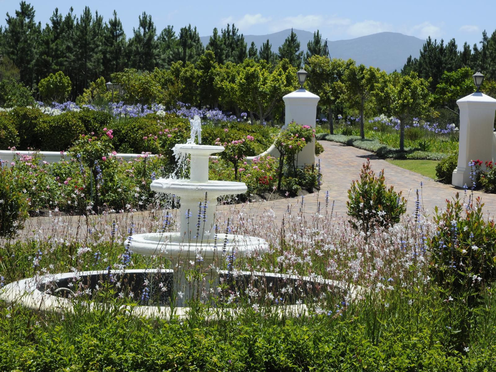 Greenhill Farm, Plant, Nature, Garden