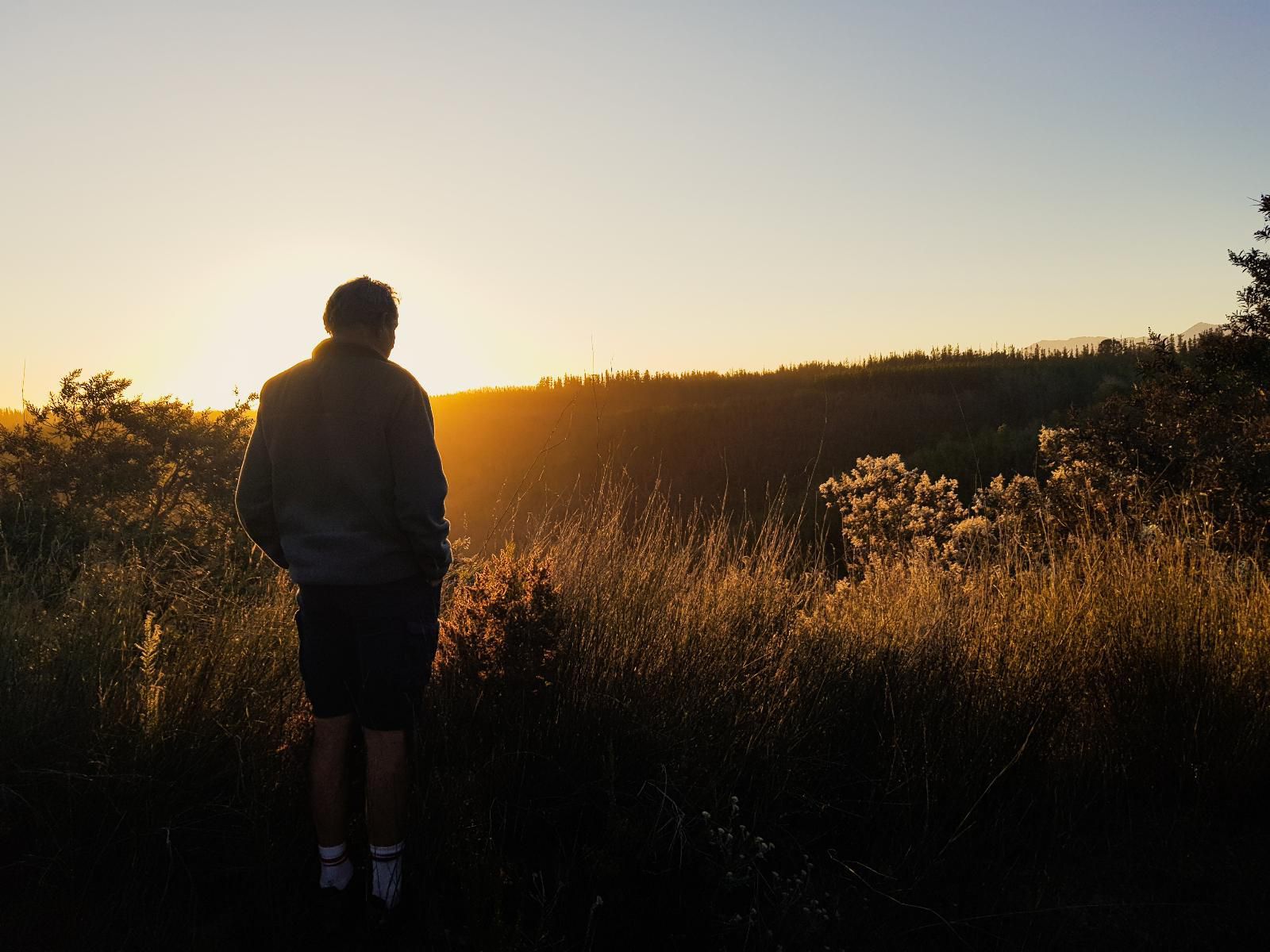 Greenhill Farm, Back View, Standing, Person, Silhouette, Sunset, Nature, Sky, Portrait