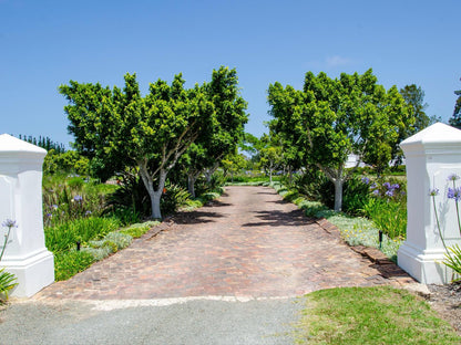 Greenhill Farm, Plant, Nature