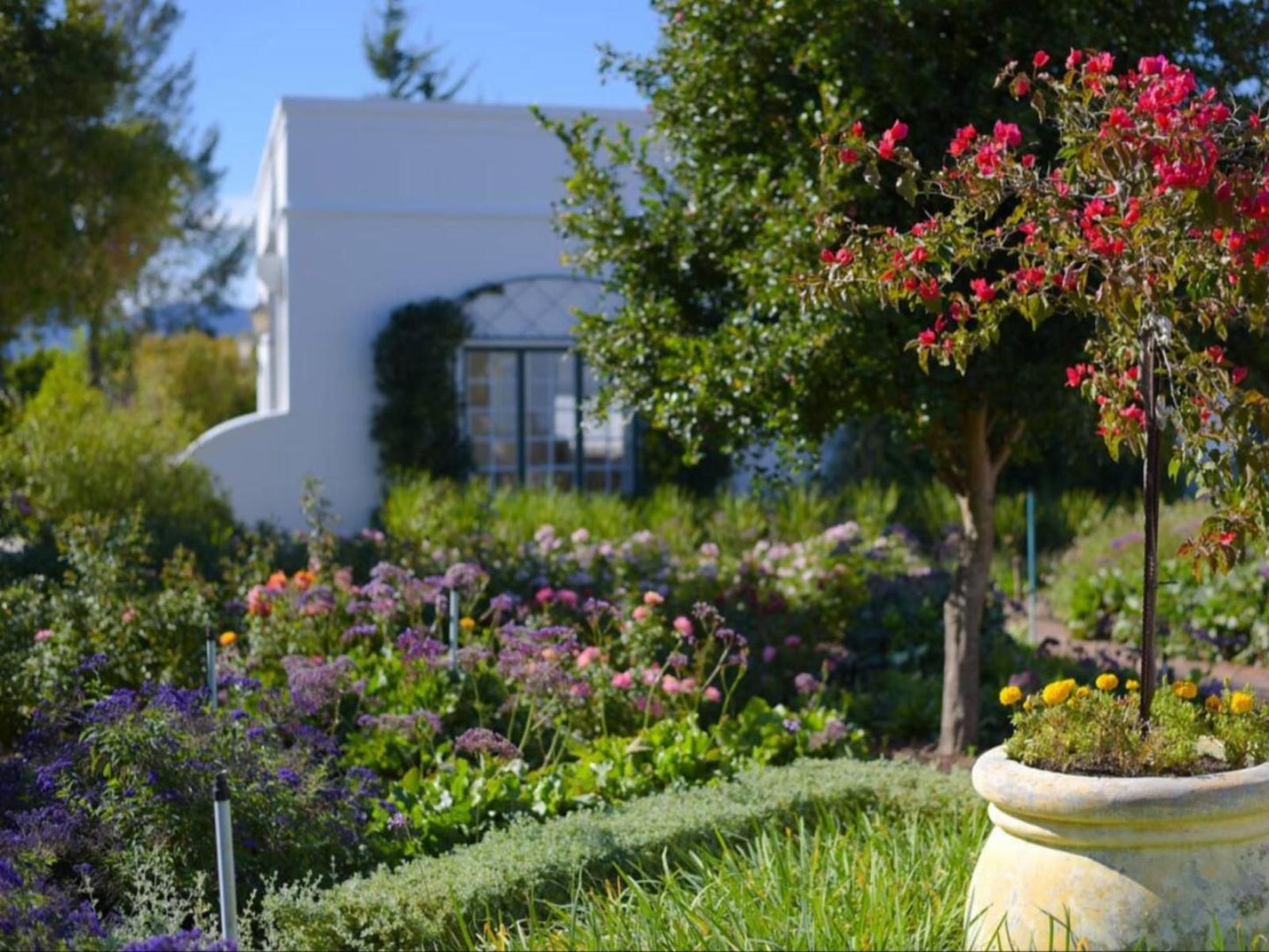 Greenhill Farm, Parklands Cottage, House, Building, Architecture, Plant, Nature, Garden