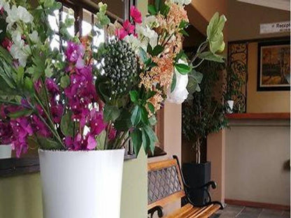 Greenleaf Guest Lodge Universitas Bloemfontein Free State South Africa Bouquet Of Flowers, Flower, Plant, Nature