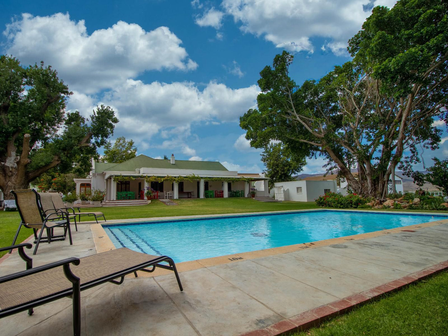 Green Olive Guesthouse Robertson Western Cape South Africa House, Building, Architecture, Swimming Pool